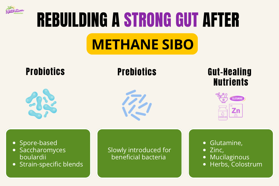 Infographic showing easy steps to rebuild and heal the gut after methane SIBO treatment using probiotics, prebiotics, and gut-healing nutrients for lasting microbiome resilience.