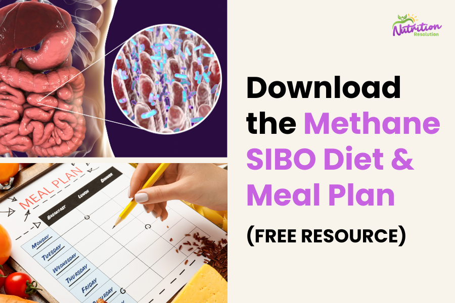 Methane SIBO Diet & Meal Plan