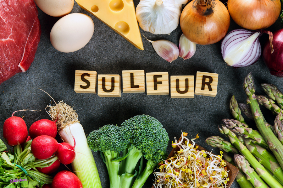 Low sulfur diet for SIBO (1)
