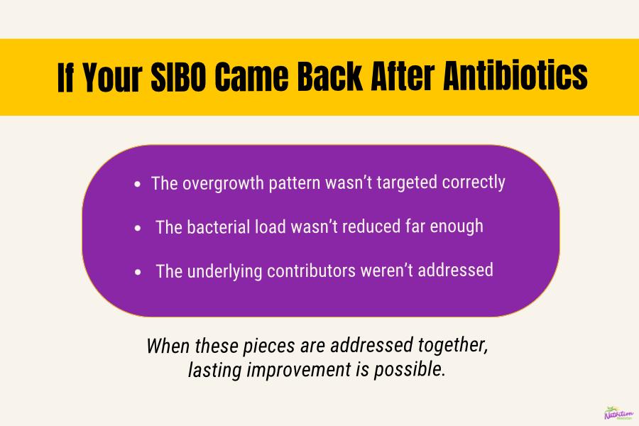 Encouraging graphic explaining that SIBO returning after antibiotics often means key underlying factors were not addressed rather than treatment failure