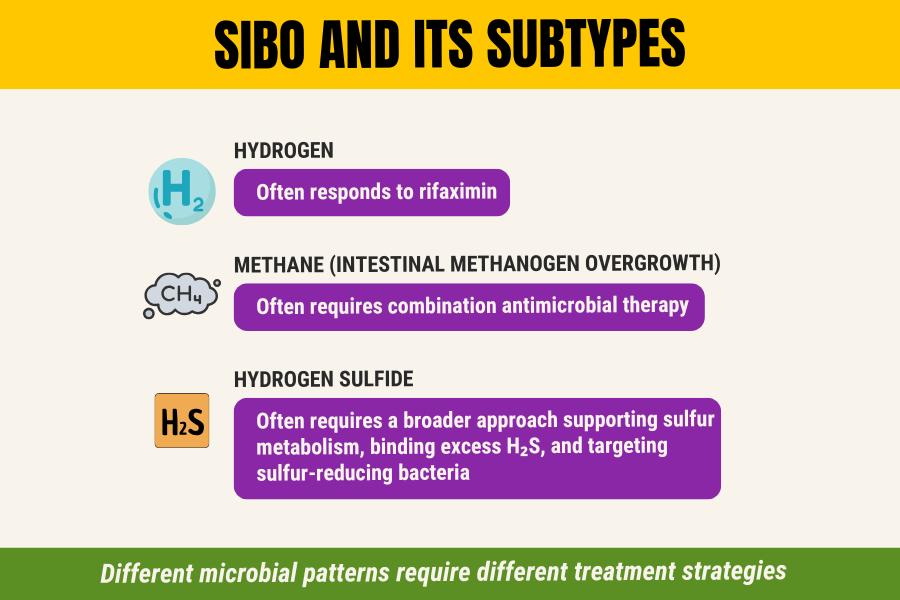 Infographic explaining the differences between hydrogen, methane, and hydrogen sulfide SIBO patterns and how treatment approaches can vary