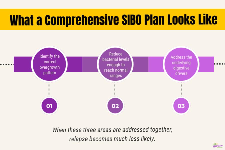 Infographic outlining the three key components of a comprehensive SIBO treatment plan to prevent recurrence