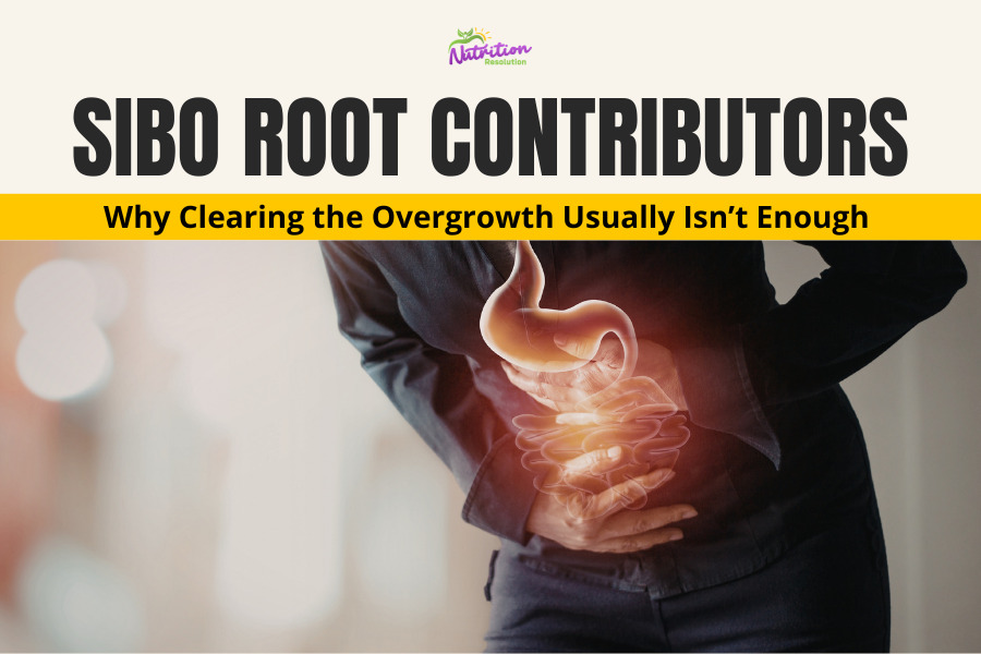 SIBO Root Contributors: Why Clearing the Overgrowth Usually Isn’t Enough