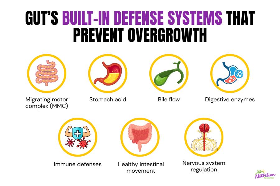 Gut defense systems checklist graphic featuring MMC, stomach acid, bile flow, digestion, immune function, and nervous system regulation in SIBO prevention.