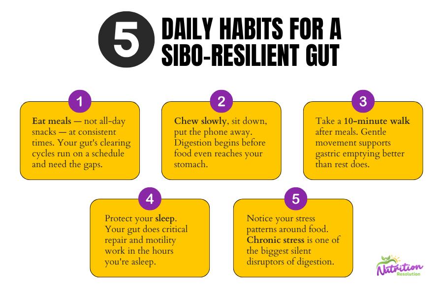 Healthy gut habits that support long-term SIBO recovery and reduce relapse risk.