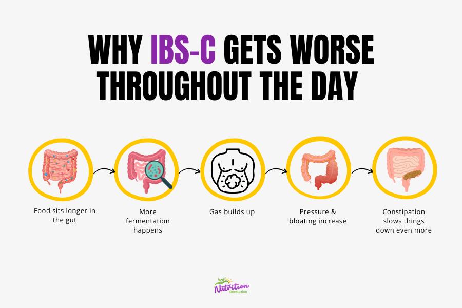 Infographic showing how slowed motility and fermentation contribute to bloating and constipation throughout the day in IBS-C