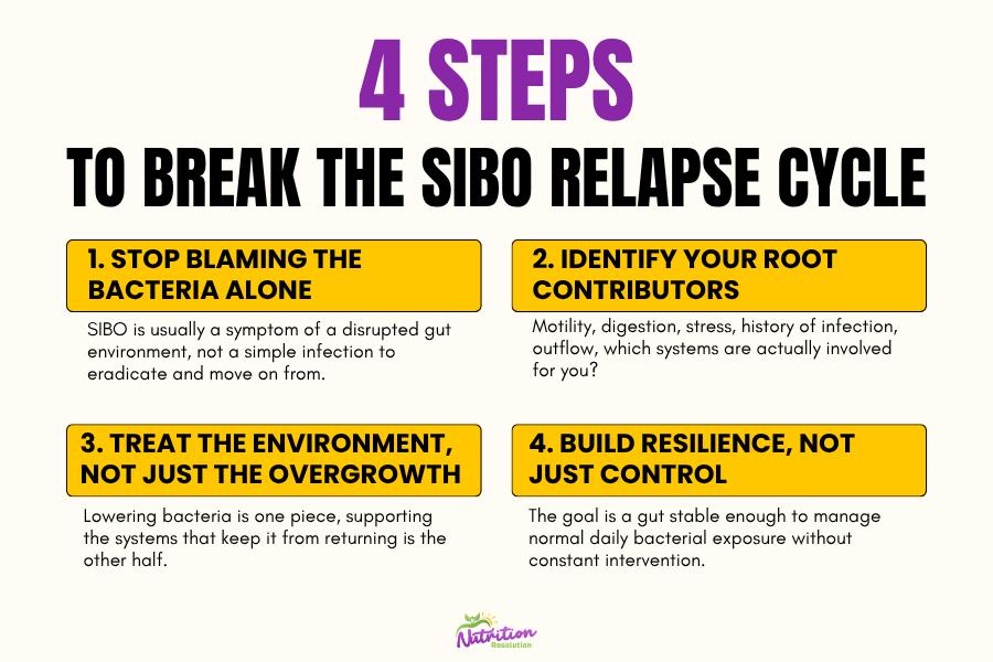 SIBO recovery roadmap showing steps from reducing overgrowth to rebuilding gut resilience and food tolerance