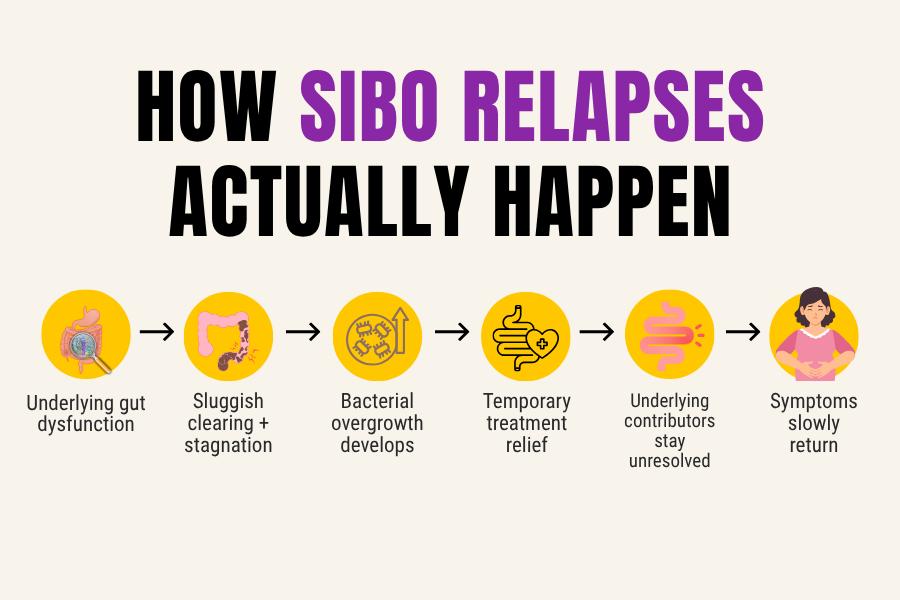 Step-by-step SIBO relapse cycle infographic showing how unresolved gut dysfunction contributes to recurring symptoms