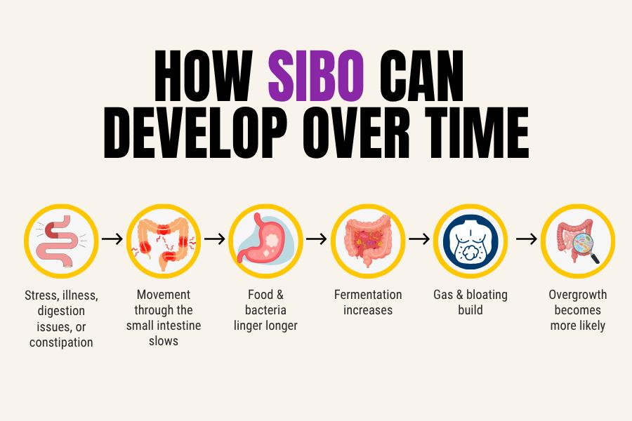 Step-by-step infographic showing how slowed motility and impaired digestion can contribute to bacterial overgrowth and SIBO symptoms