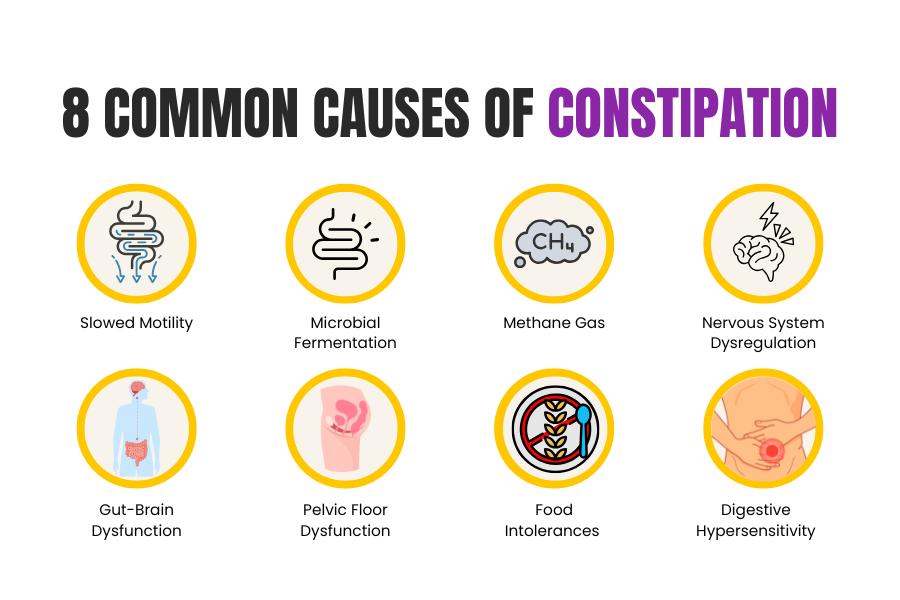 Infographic showing 8 common causes of constipation including slowed motility, methane gas, microbial fermentation, pelvic floor dysfunction, food intolerances, and nervous system involvement in IBS-C.