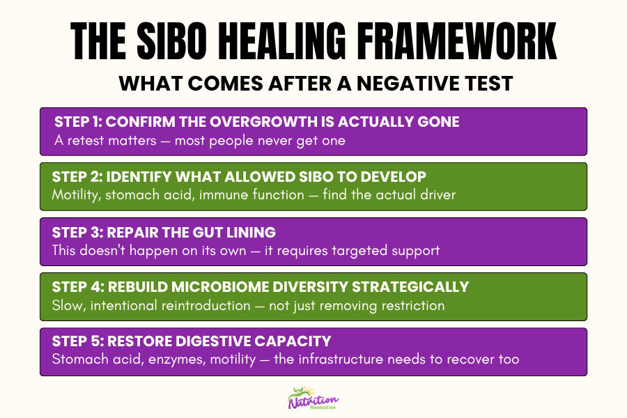 Illustration showing a SIBO breath test measuring gas in the small intestine, highlighting what results actually mean for gut health and recovery.