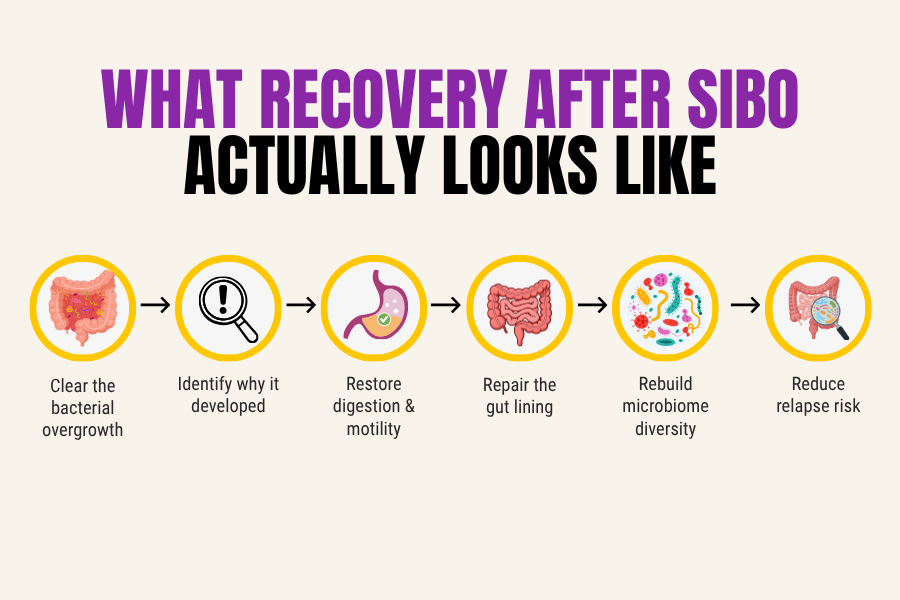 Graphic showing the comprehensive approach to SIBO healing, including repairing the gut lining, restoring motility, and rebuilding a diverse microbiome for lasting recovery.